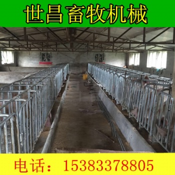 豬場限位欄設備河北世昌畜牧廠家供應