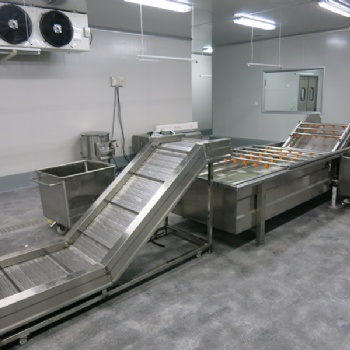 攬月 食品機械氣泡清洗機設備 清洗分級機 果蔬洗果機 清洗分選機