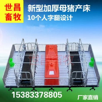 通遼豬場設備母豬產床供應廠家