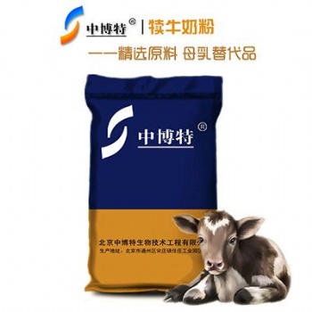 剛出生犢牛的飼養中博特犢牛奶粉