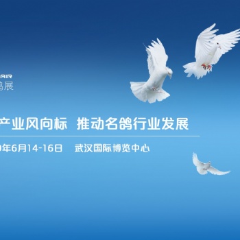 2019中國（武漢）國際名鴿展