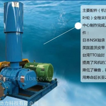 污水羅茨鼓風(fēng)機(jī) 章丘鼓風(fēng)機(jī) 負(fù)壓羅茨風(fēng)機(jī) 高效節(jié)能三葉羅茨風(fēng)機(jī)