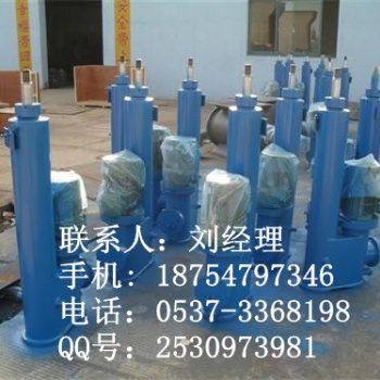 電動(dòng)推桿生產(chǎn) 液壓推拉桿DYTZ 電動(dòng)推桿DT
