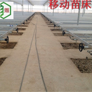 山東濱州現代化農業種植育苗床移動苗床華耀直接生產