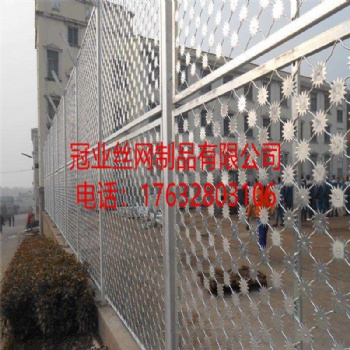 河北冠業(yè)廠家熱鍍鋅梅花刺網(wǎng)監(jiān)獄隔離網(wǎng)不銹鋼刺網(wǎng)