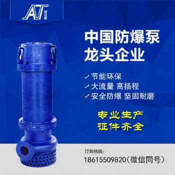 WQB工廠用防爆潛水泵 Exd II防爆等級 BT4 CT4