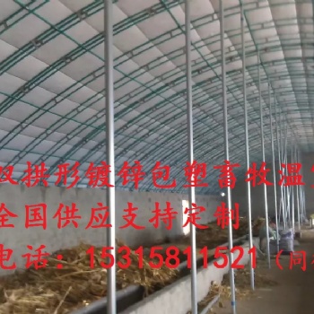 智能溫室大棚溫室大棚設(shè)計(jì)養(yǎng)鴨大棚拱形溫室大棚