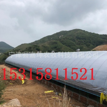 雞場自動化恒溫大棚豬場自動化溫室大棚畜牧養(yǎng)殖大棚建造安裝養(yǎng)殖溫室大棚