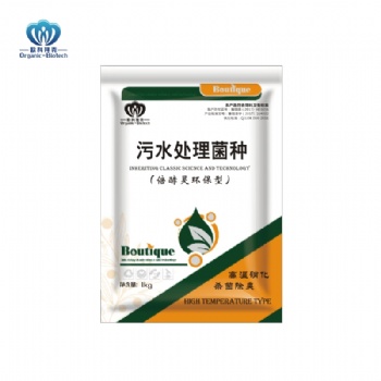 污水處理菌種好厭氧復合反硝化細菌去除COD凈化污泥微生物菌種