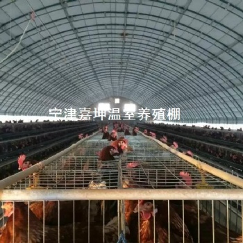 溫室養殖大棚 畜牧溫室牛羊棚 養殖溫室大棚 智能溫室大棚