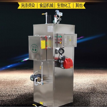 0.1噸燃氣蒸汽發生器