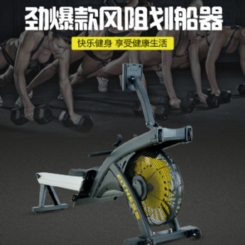 山東家用風(fēng)阻劃船器室內(nèi)健身靜音現(xiàn)貨廠家