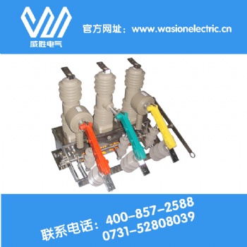 湖南哪家柱上智能真空斷路器 ZW32 ZW20安全又專業？當然是威勝電氣