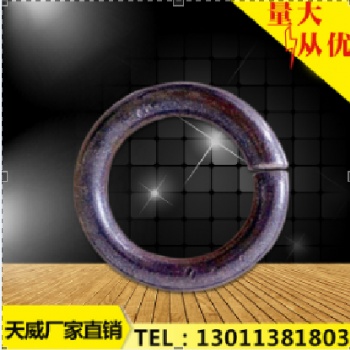 天威20-60規(guī)格型號 保護鏈維修配件 高密度圓環(huán)