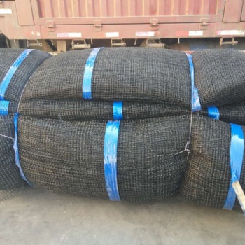 河北順華絲網(wǎng)大量生產(chǎn)三維侵蝕防護毯質優(yōu)價廉全國供應歡迎訂購