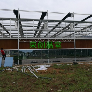 四川成都榮創(chuàng)連棟玻璃溫室大棚設(shè)計(jì)規(guī)格 溫室大棚尺寸