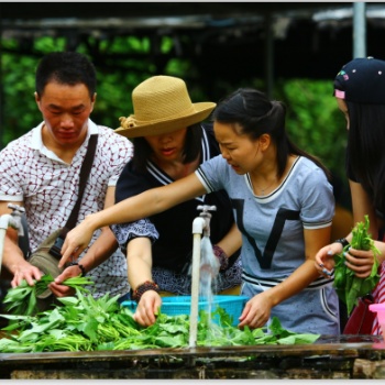廣州白云去可以自己抓雞捉魚(yú)做飯的農(nóng)家樂(lè)帽峰山生態(tài)園