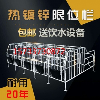 母豬產床復合材料豬用產床仔豬母豬分娩床單體雙體產床養豬設備