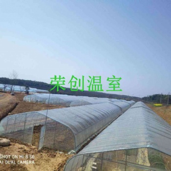 【江西溫室】上栗/興國(guó)橢圓管大跨度單體拱棚