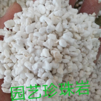 安徽優(yōu)質(zhì)園藝珍珠巖廠家