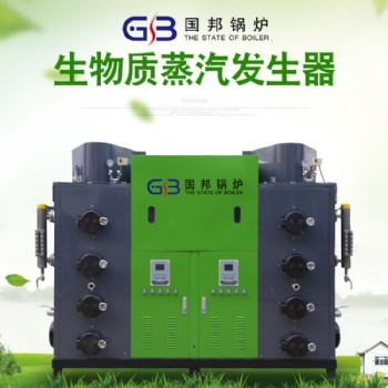 浙江金華國(guó)邦熱能生物質(zhì)蒸汽發(fā)生器500公斤