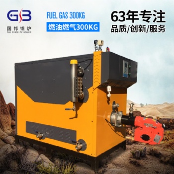 國邦鍋爐300KG低氮燃氣蒸汽發生器