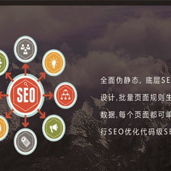 青島seo關鍵詞優(yōu)化，搜索引擎優(yōu)化