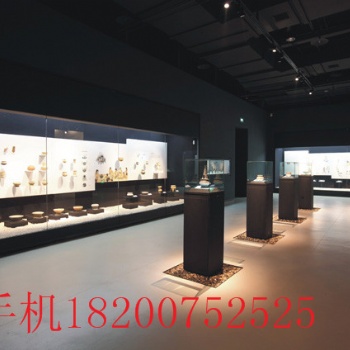 深圳專業(yè)博物館展示柜制作廠——廠家