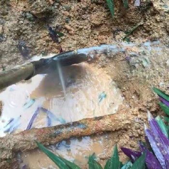 專業漏水檢測，消防管道自來水管道漏水檢測，家庭水管漏水檢測