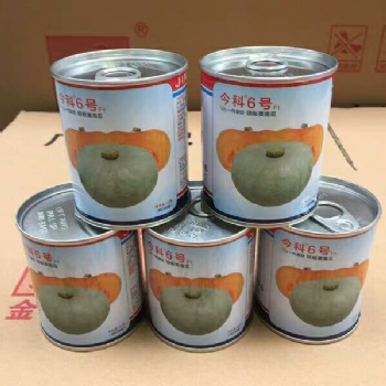 廣東金記今科6號(hào)銀板栗南瓜種子