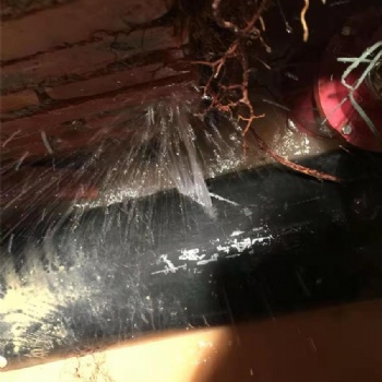 專業地下水管漏水檢測，不拆不砸精準定位漏水點，成本更低