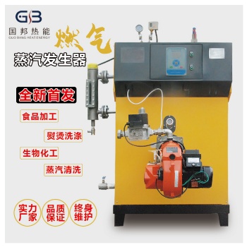浙江金華國(guó)邦200KG節(jié)能環(huán)保燃油蒸汽發(fā)生器