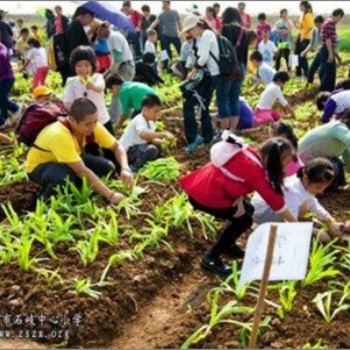 廣州戶外旅游聚會出行好地方
