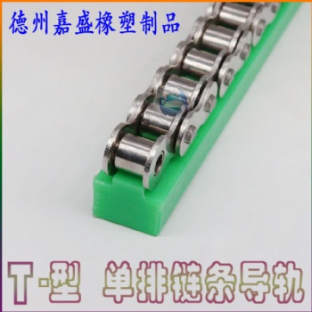 山東嘉盛廠家自動化生產線鏈條導軌