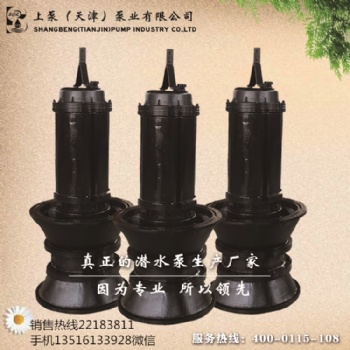 湖北自動化潛水軸流泵
