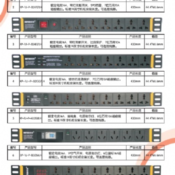 PDU機(jī)房工業(yè)級插排