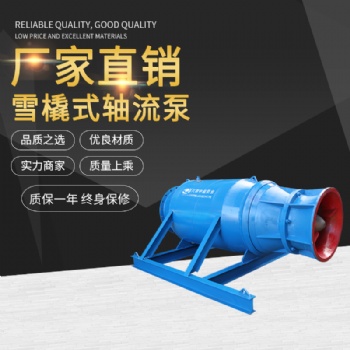 大流量潛水軸流泵 專業(yè)潛水軸流泵廠家 質(zhì)優(yōu)價廉品牌