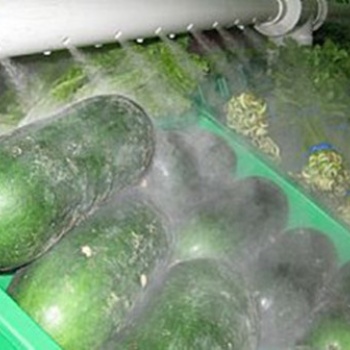 廣西南寧超市蔬菜水果保鮮超聲波加濕設備正雄環保科技供應
