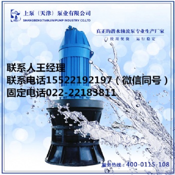 寧夏固原上泵大流量潛水軸流泵