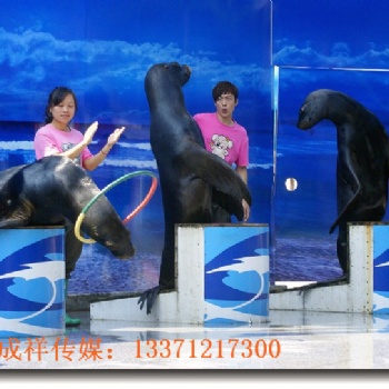 海洋生物展海獅海豚租賃表演