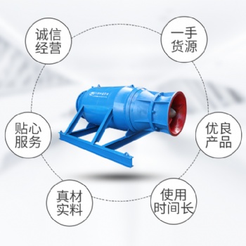 大流量潛水軸流泵 QZB立式潛水泵 應(yīng)急排水 廠價