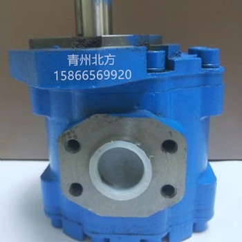 青州北方CBY3063-275L環(huán)衛(wèi)設(shè)備泵