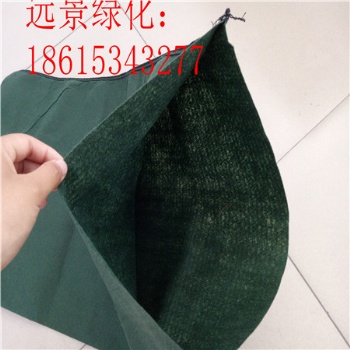 生態袋河道綠化 金華抗沖生物毯 南昌生態袋綠化 植物纖維毯復綠