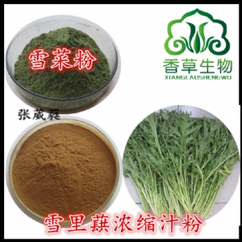 雪菜粉 雪里蕻濃縮汁粉 雪里蕻** 香青菜速溶粉