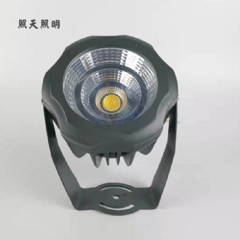 中山戶外景觀亮化照樹投光燈COB經(jīng)濟LED亮化燈具10w20w30w