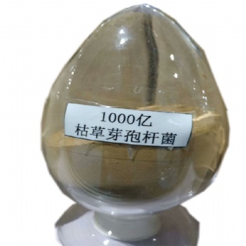 山東枯草芽孢桿菌廠家 枯草芽孢桿菌價格