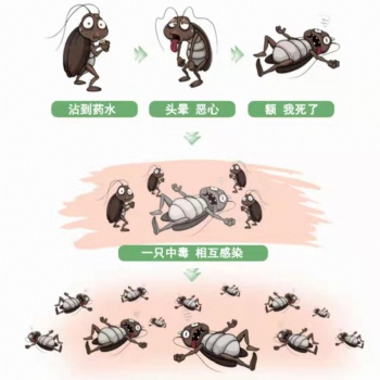 海南省?？谑畜氲姆乐? /></a></div>
	<div   id=