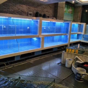 吳川市專業(yè)酒樓移動 馬賽克玻璃不銹鋼海鮮池定做安裝價格 吳川市飯店海鮮池定做