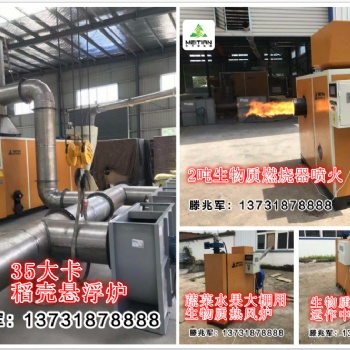 銅陵美天新能源亮相2019第八屆亞太國際生物質(zhì)能展
