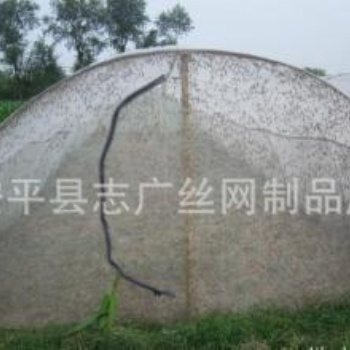 加寬的新料的螞蚱網(wǎng)批發(fā)全新料的蝗蟲網(wǎng)
